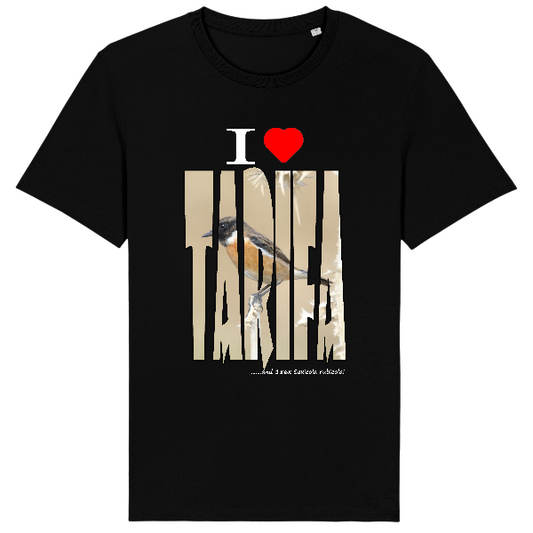 Stanley/Stella - Creator 2.0